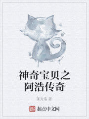 神奇寶貝之阿浩傳奇 神奇寶貝之阿浩傳奇