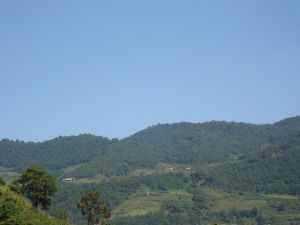 回子坡自然村 回子坡自然村