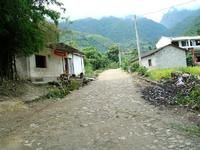 園子田自然村 園子田自然村