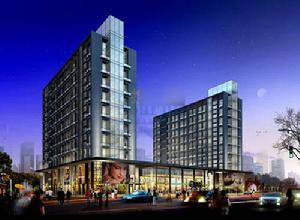 金楓國際 金楓國際