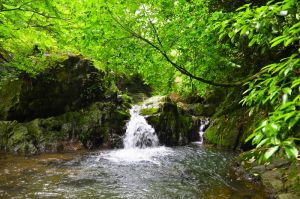 寧國石柱山風景區 寧國石柱山風景區
