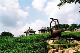 天下第一壺 天下第一壺