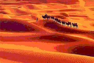 （圖）阿拉伯沙漠