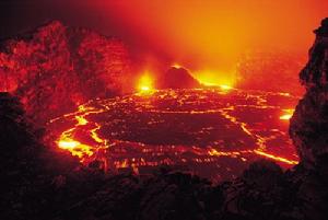 依義順時 鳥焚其巢之象　樂極生悲之意