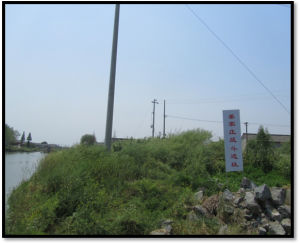 姜家莊遺址 姜家莊遺址