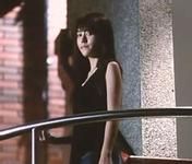 《黑道之無悔今生》 《黑道之無悔今生》