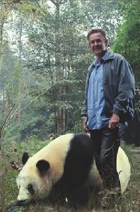 熊貓大使 熊貓大使