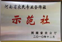 河南蜜樂源養蜂專業合作社