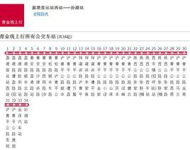 上海公交青金線 上海公交青金線