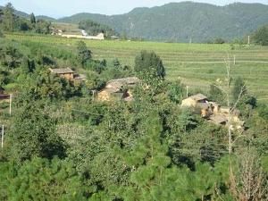 大埂子村 大埂子村