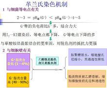 革蘭氏染色機制原理圖