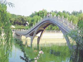 肥城市康王河濕地公園 肥城市康王河濕地公園