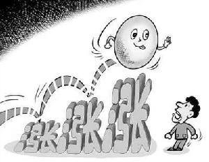 菜價漲了，種菜成本更高，菜農賺得並不多