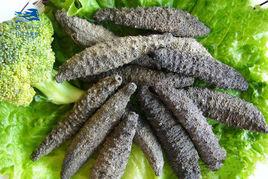 小有刺參 小有刺參