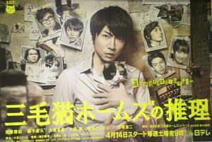 三花貓福爾摩斯的推理 三花貓福爾摩斯的推理