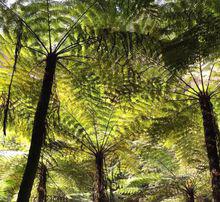 周公廟[陝西寶雞岐山周公廟]