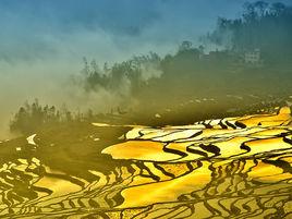 鄉土文化 鄉土文化