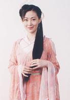 秦淮悲歌[2004年伊能靜主演電視劇]