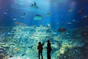 三亞熱帶海洋動物園