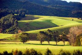 紐西蘭地籍管理 紐西蘭地籍管理