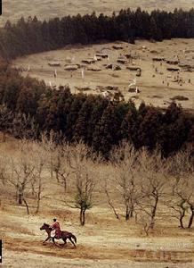 《李在守之亂》