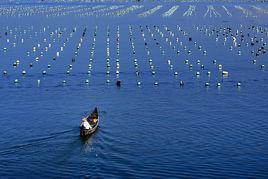 廣東省海洋與漁業局 廣東省海洋與漁業局