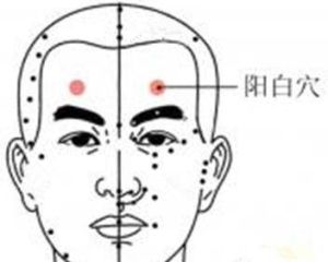 陽白穴