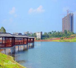 儀隴縣金松湖生態公園 儀隴縣金松湖生態公園
