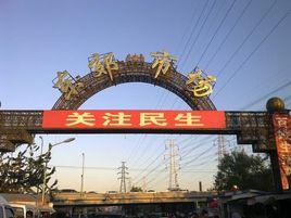北京東郊市場 北京東郊市場