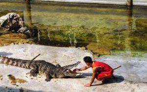 北京鱷魚湖公園