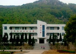 龍山國小 龍山國小