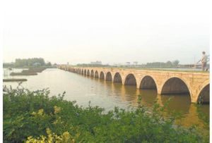 一眼望七橋 一眼望七橋