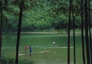 四棵樹鄉[吉林省四平市梨樹縣四棵樹鄉]
