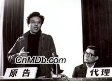 《T省的八四、八五年》