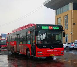 石家莊公交 石家莊公交