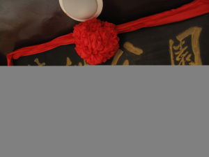 崇明瀛洲公園 崇明瀛洲公園