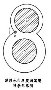 凍融時水分遷移 凍融時水分遷移