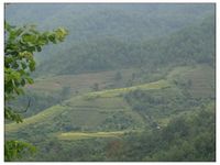 蠻引自然村 蠻引自然村