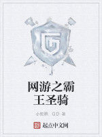網遊之霸王聖騎 網遊之霸王聖騎