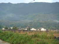 白龍水二自然村 白龍水二自然村