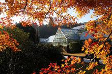 廬山[中華十大名山之一]