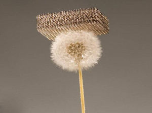 2011年11月科學家研發出的世界上最輕的固態材料