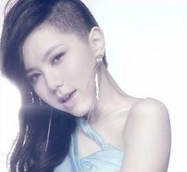 someday i'll fly someday i'll fly