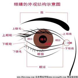 眼睛命運 眼睛命運