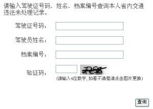 駕照查詢 駕照查詢
