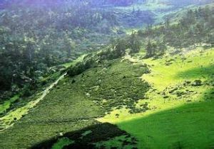 馬邊大風頂自然保護區 馬邊大風頂自然保護區