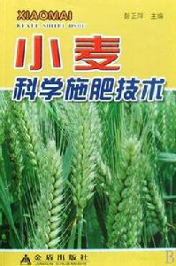 小麥科學施肥技術 小麥科學施肥技術