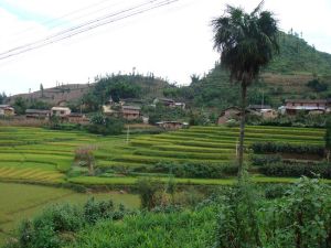茭瓜塘自然村 茭瓜塘自然村