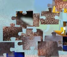 小丑魚拼圖 小丑魚拼圖