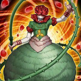 核成孕婦薔薇 核成孕婦薔薇